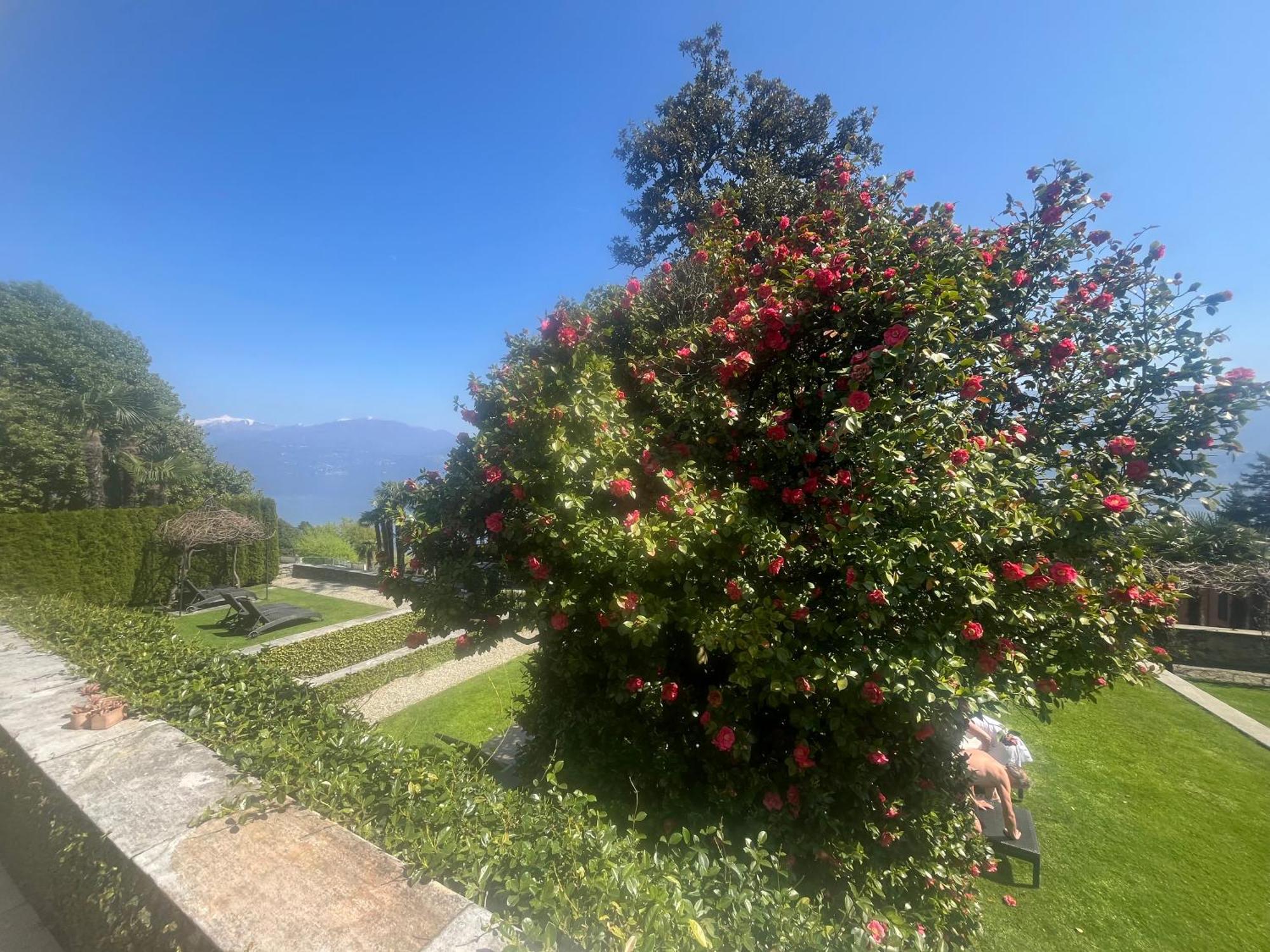 Relais Villa Margherita Oggebbio Exterior photo